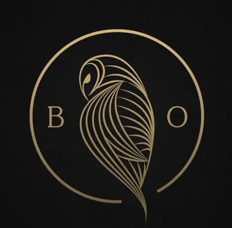 Black Owl logo